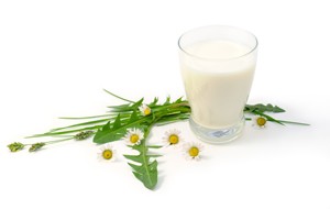 ayran