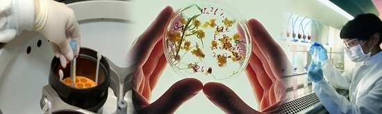 biotech-eurasia-gidahatti
