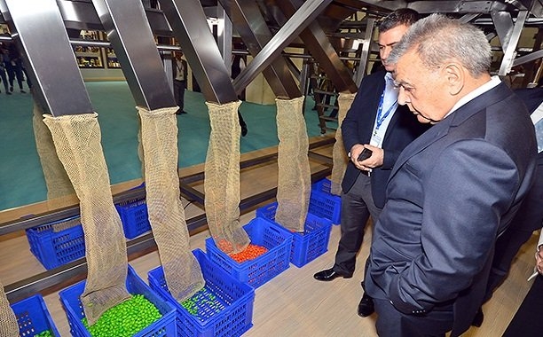 olivtech-zeytin-gidahatti