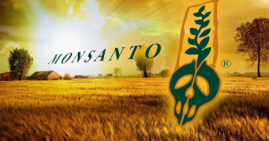Monsanto-1-gidahatti