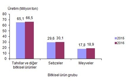 bitkisel-uretim-tahmin-tuik-gidahatti