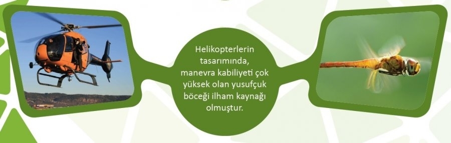 biyomimikri-helikopter-gidahatti