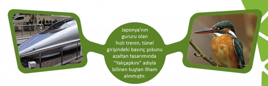 biyomimikri-hizli-tren-gidahatti