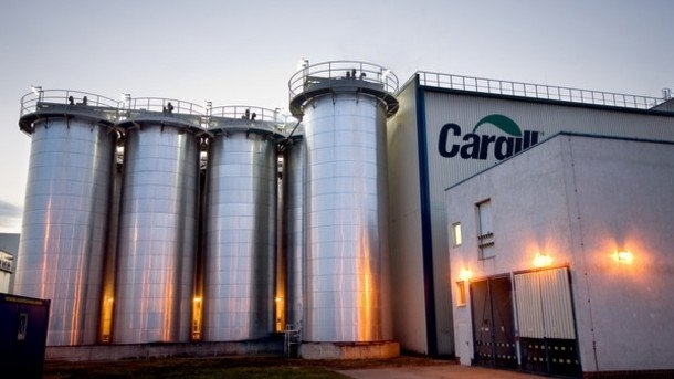 cargill-tesis-gidahatti