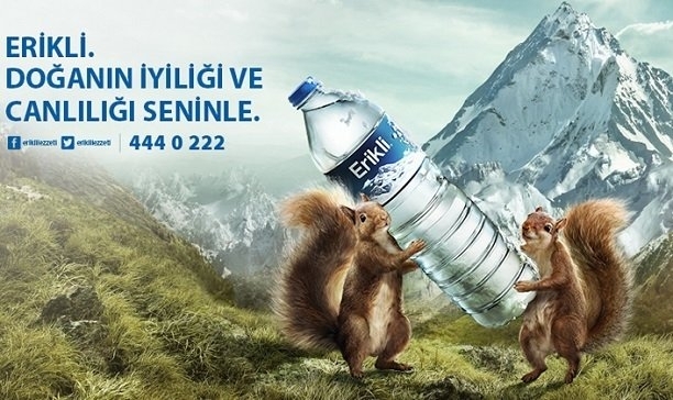 nestle-erikli-gidahatti