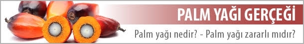 Palmyagi