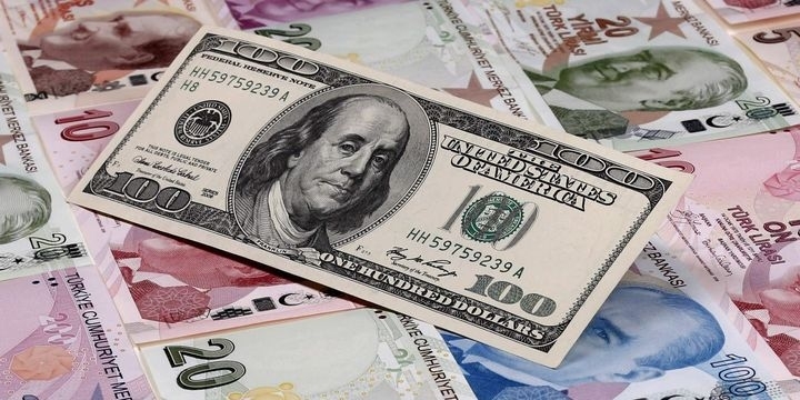 tl-dolar-1-gidahatti