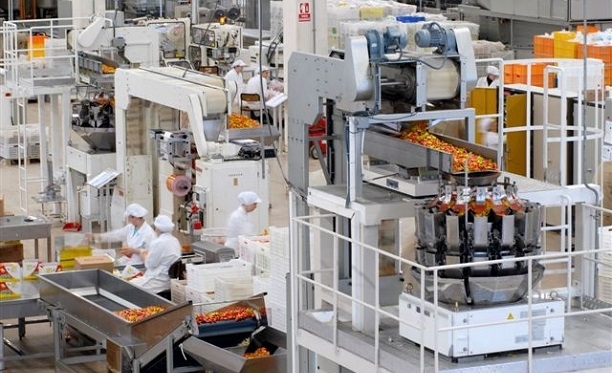 mondelez-gebze-fabrika-gidahatti