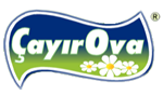 cayirova