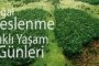 CERN Liderleri Türkiye’ye geliyor