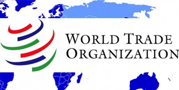 Dünya Ticaret Örgütü’nden Rusya ticaret yasağı kararı bekleniyor
