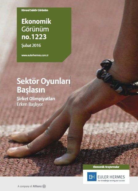 2016’da hangi sektörlerde risk yüksek?