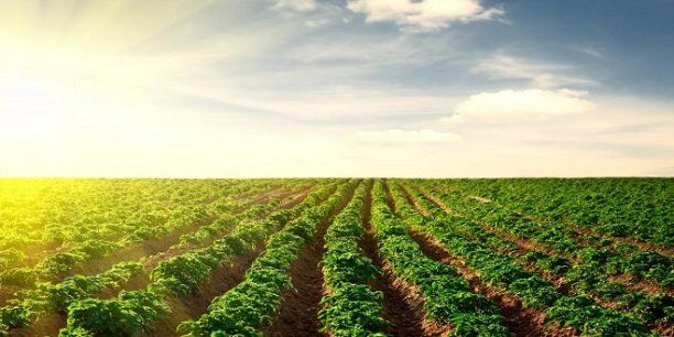 Tarım sorunları ve çözüm önerileri kitapçık haline getirilecek