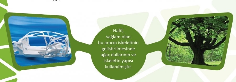 Doğadan ilham alanlar için Biyomimikri Projesi! Biyomimikri nedir?