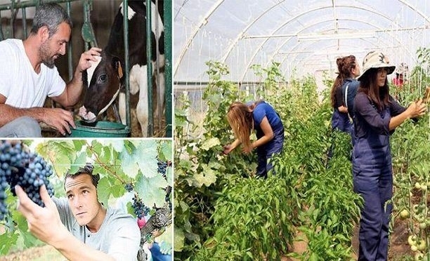 Genç çiftçi hibe desteğinde listeler açıklandı!