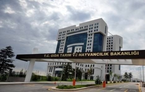 Hayvancılık desteklerinin yolu açıldı!