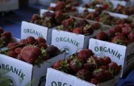 Tüketicinin gözdesi organik ve “…içermez” gıdalar!