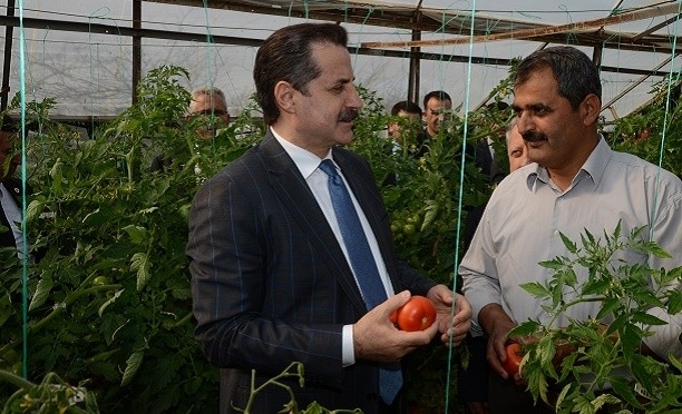 faruk-celik-uretici-gidahatti