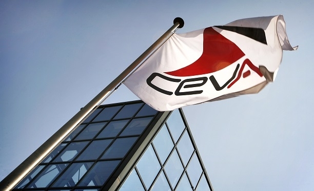 ceva-bayrak-gidahatti