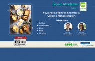 Peynirde Kullanılan Enzimler