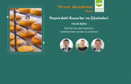 Peynirdeki Kusurlar ve Çözümleri