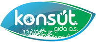 KONSÜT LOGO