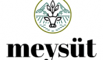 MEYSÜT