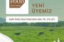 Gıdanın profesörü uyardı: “Beslenmenizi sosyal medyada etkileşimi uğruna riske atmayın”