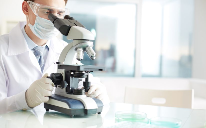 Mihaliç peynirinin mikrobiyal kimliği, bilimsel araştırma ile tanımlandı