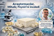 Mihaliç peynirinin mikrobiyal kimliği, bilimsel araştırma ile tanımlandı