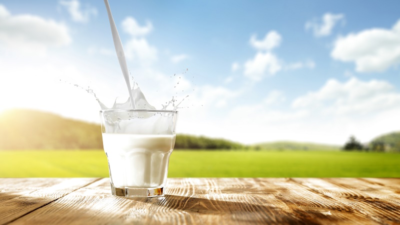 Süt Tüketimi Hakkında Ortaya Atılan İddialara Bilimsel Bir Değerlendirme