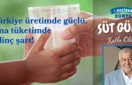 Harun Çallı: